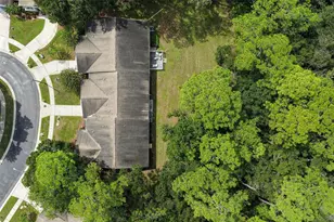 3490 Tealwood Cir, Palm Harbor, FL 34685 - Photo 28