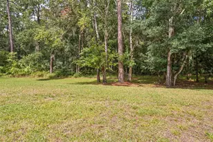 3490 Tealwood Cir, Palm Harbor, FL 34685 - Photo 24