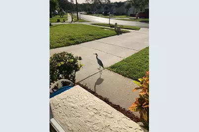 3490 Tealwood Circle, Palm Harbor, FL 34685 - Photo 38