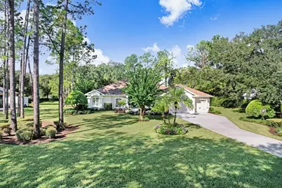 428 Pine Bluff Drive, Lutz, FL 33549 - Photo 44
