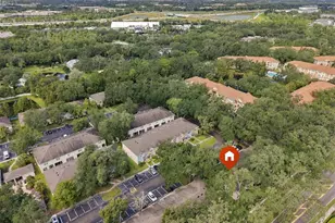 3463 High Hampton Cir, Tampa, FL 33610 - Photo 38