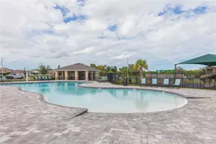 11933 Downy Birch Dr, Riverview, FL 33569 - Photo 42