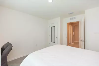11933 Downy Birch Drive, Riverview, FL 33569 - Photo 34