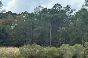 10855 W Homosassa Trail, Homosassa, FL 34448 - Photo 1