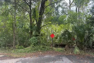 10103 W Main St, Homosassa, FL 34448 - Photo 1
