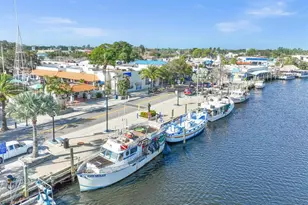 381 Moorings Cove Dr, Tarpon Springs, FL 34689 - Photo 54