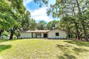 950 Waverly St, Oldsmar, FL 34677 - Photo 30