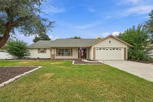 4534 Mohican Trail, Valrico, FL 33594 - Photo 1