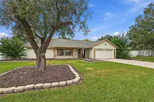 4534 Mohican Trail, Valrico, FL 33594 - Photo 2