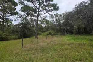 6535 N Ewok Point, Dunnellon, FL 34433 - Photo 4