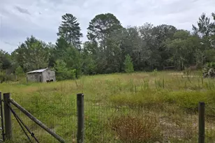 6535 N Ewok Point, Dunnellon, FL 34433 - Photo 14