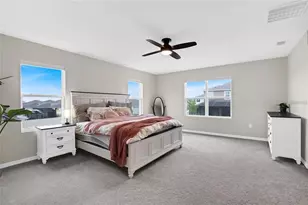 32265 Conchshell Sail St, Wesley Chapel, FL 33545 - Photo 36