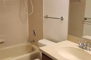 20311 Chestnut Grove Dr, Tampa, FL 33647 - Photo 18