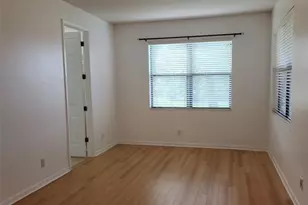 20311 Chestnut Grove Dr, Tampa, FL 33647 - Photo 20