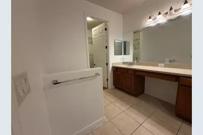 20311 Chestnut Grove Drive, Tampa, FL 33647 - Photo 24
