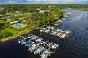 8917 Eagle Watch Dr, Riverview, FL 33578 - Photo 38