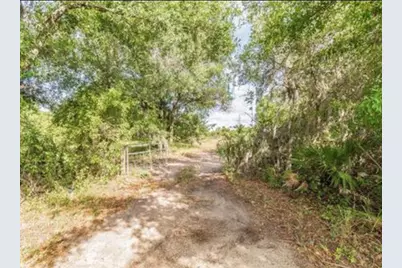 2923 Timberlee Road, Wimauma, FL 33598 - Photo 16