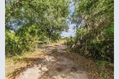2923 Timberlee Road, Wimauma, FL 33598 - Photo 8