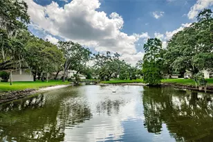 8406 Terrace Meadows Ct, Temple Terrace, FL 33637 - Photo 42