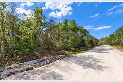 Ne 770th Streets, Old Town, FL 32680 - Photo 2