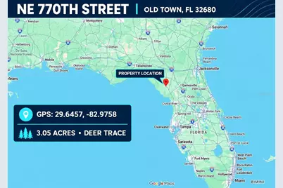 Ne 770th Streets, Old Town, FL 32680 - Photo 6