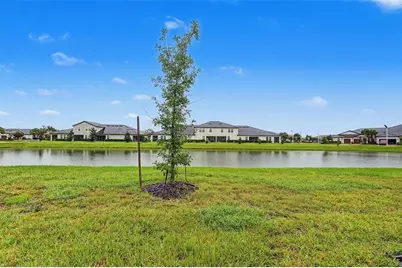 10191 Echo Dock Loop, San Antonio, FL 33576 - Photo 26