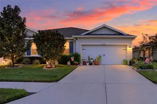 10648 Heron Hideaway Loop, Land O Lakes, FL 34638 - Photo 2