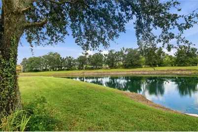 19930 Dolores Ann Court, Lutz, FL 33549 - Photo 28