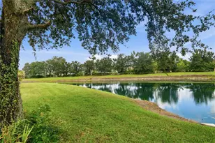 19930 Dolores Ann Ct, Lutz, FL 33549 - Photo 28