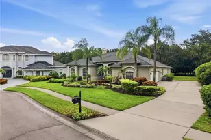 4034 Executive Dr, Palm Harbor, FL 34685 - Photo 4