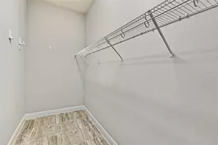 11978 Climbing Fern Ave, Riverview, FL 33579 - Photo 44