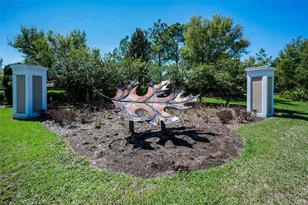 11978 Climbing Fern Ave, Riverview, FL 33579 - Photo 86