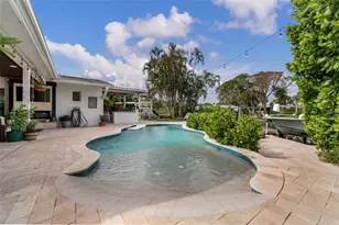 4785 Butterfly Pl NE, Saint Petersburg, FL 33703 - Photo 6