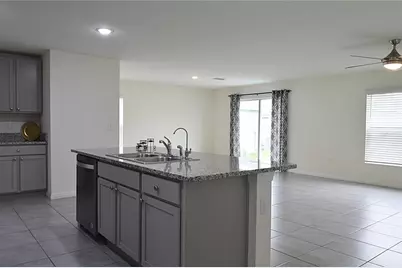 12106 Downy Birch Drive, Riverview, FL 33569 - Photo 14