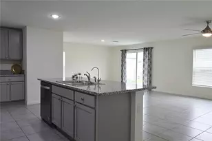 12106 Downy Birch Dr, Riverview, FL 33569 - Photo 14