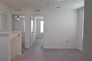 12106 Downy Birch Dr, Riverview, FL 33569 - Photo 18