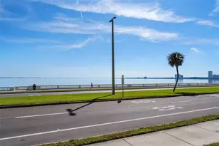 2401 Bayshore Blvd, Tampa, FL 33629 - Photo 86
