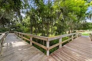 3553 Florian Terrace, Palm Harbor, FL 34685 - Photo 76