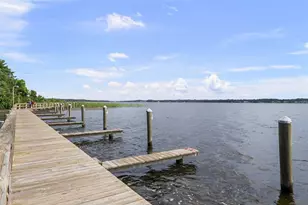 3553 Florian Terrace, Palm Harbor, FL 34685 - Photo 80