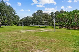 3553 Florian Terrace, Palm Harbor, FL 34685 - Photo 68