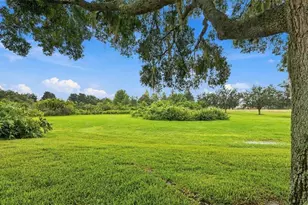 2333 Brookfield Greens Cir, Sun City Center, FL 33573 - Photo 38