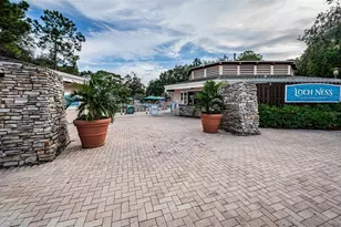1366 Via Verdi Dr, Palm Harbor, FL 34683 - Photo 68