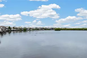 1074 Seagrape Dr, Ruskin, FL 33570 - Photo 64