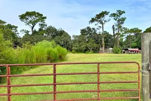 2810 S Willow Terrace, Homosassa, FL 34448 - Photo 4