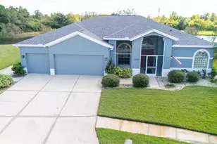 13023 St Filagree Dr, Riverview, FL 33579 - Photo 4
