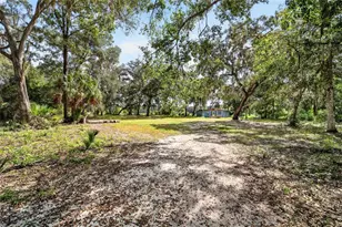 5686 E Hwy 316, Citra, FL 32113 - Photo 1