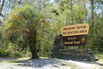 5686 E Highway 316, Citra, FL 32113 - Photo 34