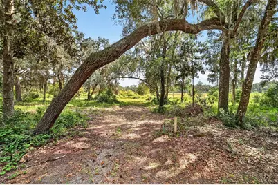 5686 E Highway 316, Citra, FL 32113 - Photo 24