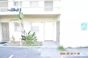304 Danube Ave, Tampa, FL 33606 - Photo 6