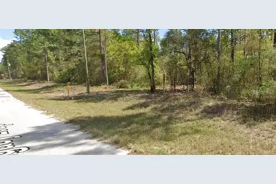 8328 N Legacy Loop, Citrus Springs, FL 34433 - Photo 4